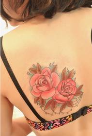bellezza sexy torna bella immagine bellissima rosa modello