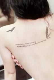 zokongola zokongola za mmbuyo za seagull zatsopano, zithunzi zaku tattoo za Chingerezi