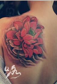 mode vroulike rug pragtige kleur lotus tattoo patroon prentjie