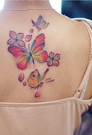жіноча спина досить метелик вишневий татуювання малюнок малюнок