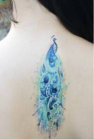 módní zpět krásné barevné páv tetování obrázek obrázek
