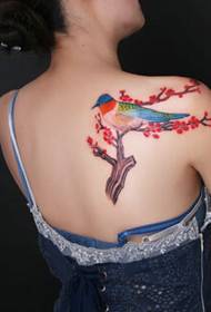 móda žien späť móda pekný tetovací obrázok slivky vták
