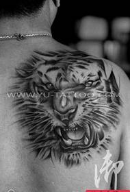Tatuointinäytös, suosittele takana oleva tiikeri pään tatuointia