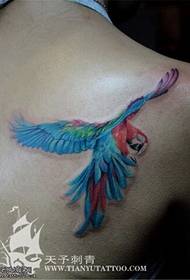 bakfärg kolibri tatuering mönster