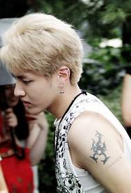 Wu Yifan-ning zarb naqshlari 79949 - Antilop tatuirovkasining qo'lyozma rasmidagi rangli ko'z