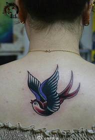 color back Swallow Tattoo Pattern