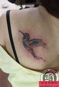 Bellissimo modello di tatuaggio colorato colibrì sul retro della ragazza