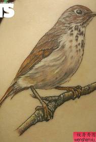 Un creativo tatuaje de águila en la espalda