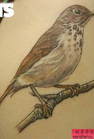 Un tatuaggio d'aquila creativo sul retro
