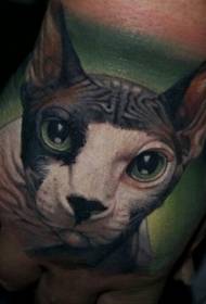 Spalvingas mielas sfinkso katės tatuiruotės modelis ant nugaros