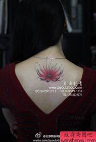 美麗的蓮花紋身圖案在女孩的背上