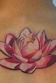 Татуировка на спине: цветная татуировка в виде лотоса на спине