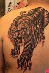Tattoo ostendit, quia forma tigris retro et stigmata