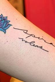Lotus me ngjyrën e krahut me modelin e tatuazheve me shkronja