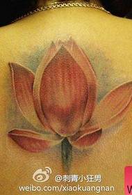 Прелепи и реалистични узорак тетоваже лотоса у боји на леђима девојака