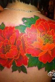 የውበት ጀርባ ቀለም peony ንቅሳት ንድፍ