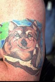 Model de tatuaj cu cap de lup de desene animate frumos colorat