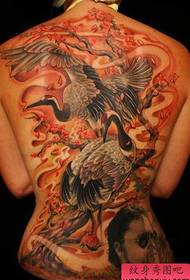 Usa ka matahum nga babaye nga adunay sumbanan nga tattoo sa puti nga crane crane