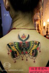 Gyönyörű lány vissza gyönyörű pillangó tetoválás minta