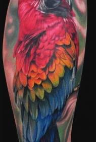 Arm realistic ipininta pattern ng parrot tattoo