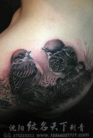 Bella coppia di tatuaggi passero sul dorso maschile