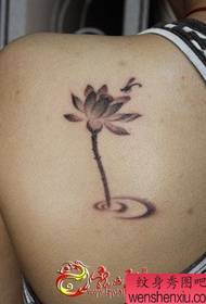 Tatwaġġ żgħir tad-dahar tal-lotus tad-dahar tal-lotus frisk jaħdem