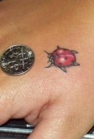 Qo'llarning rangi haqiqiy kichkina ladybug zarb rasm