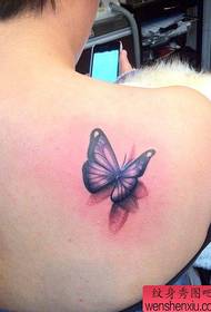 女孩的背唯一美麗的彩色蝴蝶紋身圖案
