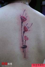 La schiena della ragazza è bella e popolare nel modello di tatuaggio di loto in stile inchiostro
