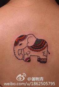 Popular small elephant tattoos on the back of girls