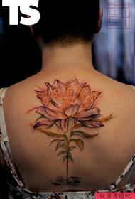 Qhov muaj tswv yim lotus tattoo nyob tom qab
