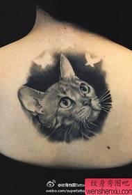 Girls' back popular classic realistic cat tattoo pattern