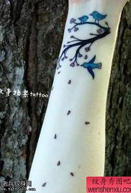 Piccoli tatuaggi di fiori di prugna freschi a mano