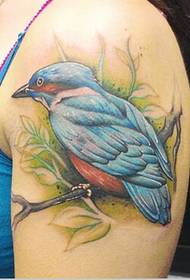 Picha nzuri na nzuri ya tattoo ya kingfisher kwenye mkono wa kike wa mtindo mkubwa