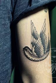 纹身秀图吧推荐一幅手臂燕子纹身图案