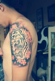 Immagini di tatuaggi di fiori di ciliegio a testa di tigre dominatori tradizionali