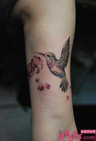 Rankos kolibrio tatuiruotės nuotrauka