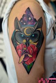 Star owl tattoo creative image