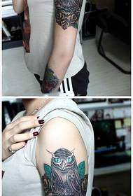 Beauty owl, European and American tattoo pattern pictures