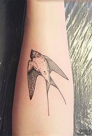 Braccio sexy piccola rondine immagine del modello del tatuaggio