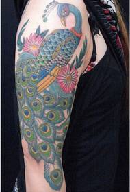 Beautiful female peacock tattoo figure picture on fashion female big arm