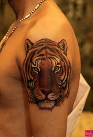 Show de tatuagem, recomendo uma grande tatuagem de tigre