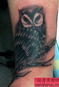 მაჯის owl tattoo ნიმუში