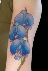 Blou orgidee phalaenopsis blomarm tattoo patroon