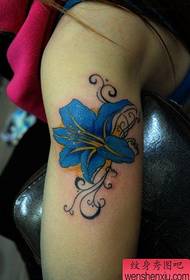Vrouwelijk tattoo-patroon: Lily Flower Tattoo Pattern