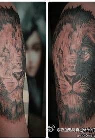 Tattoo leon ceann leon lámh