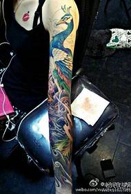 Un modello di tatuaggio colorato a mezzo tono fenice