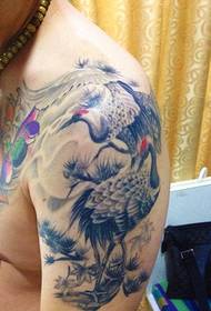 Il modello colorato del tatuaggio della gru incoronata mezzo rosso è molto bello