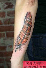 Tatuaggio con piume color braccio