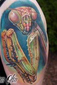 Storarm farve realistisk 螳螂 tatoveringsmønster